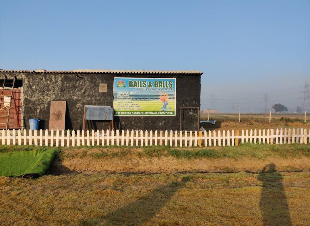 Bails &amp; balls Cricket ground