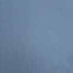 Ritik  Kumar Profile Picture