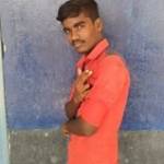 Ellap  Pan Profile Picture
