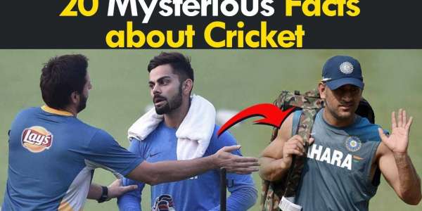 Cricket facts that will blow your mind